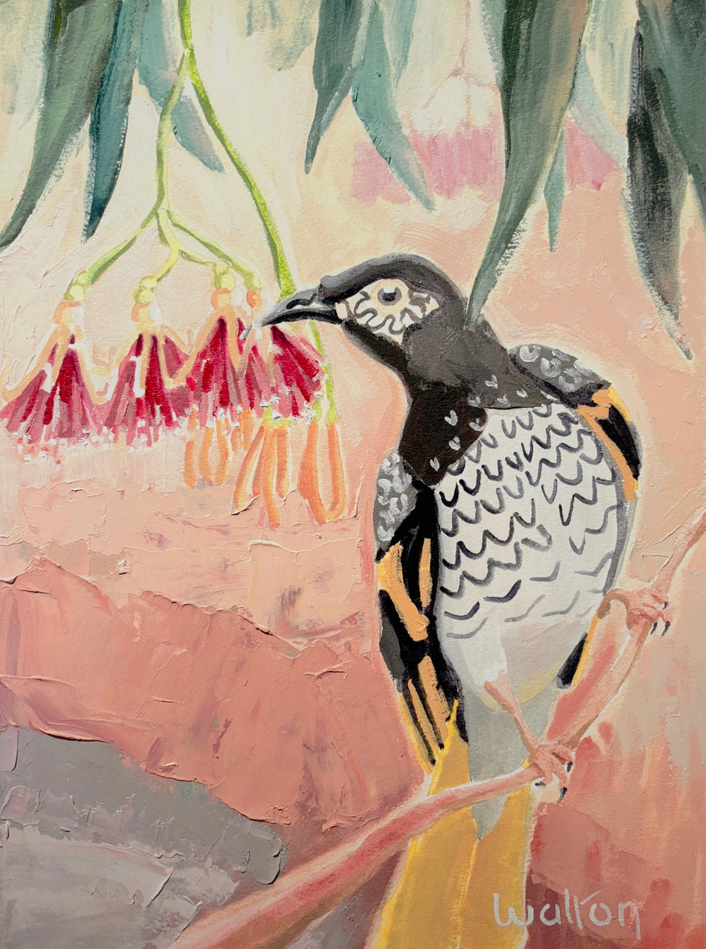 Regent Honeyeater - Limited Edition Print