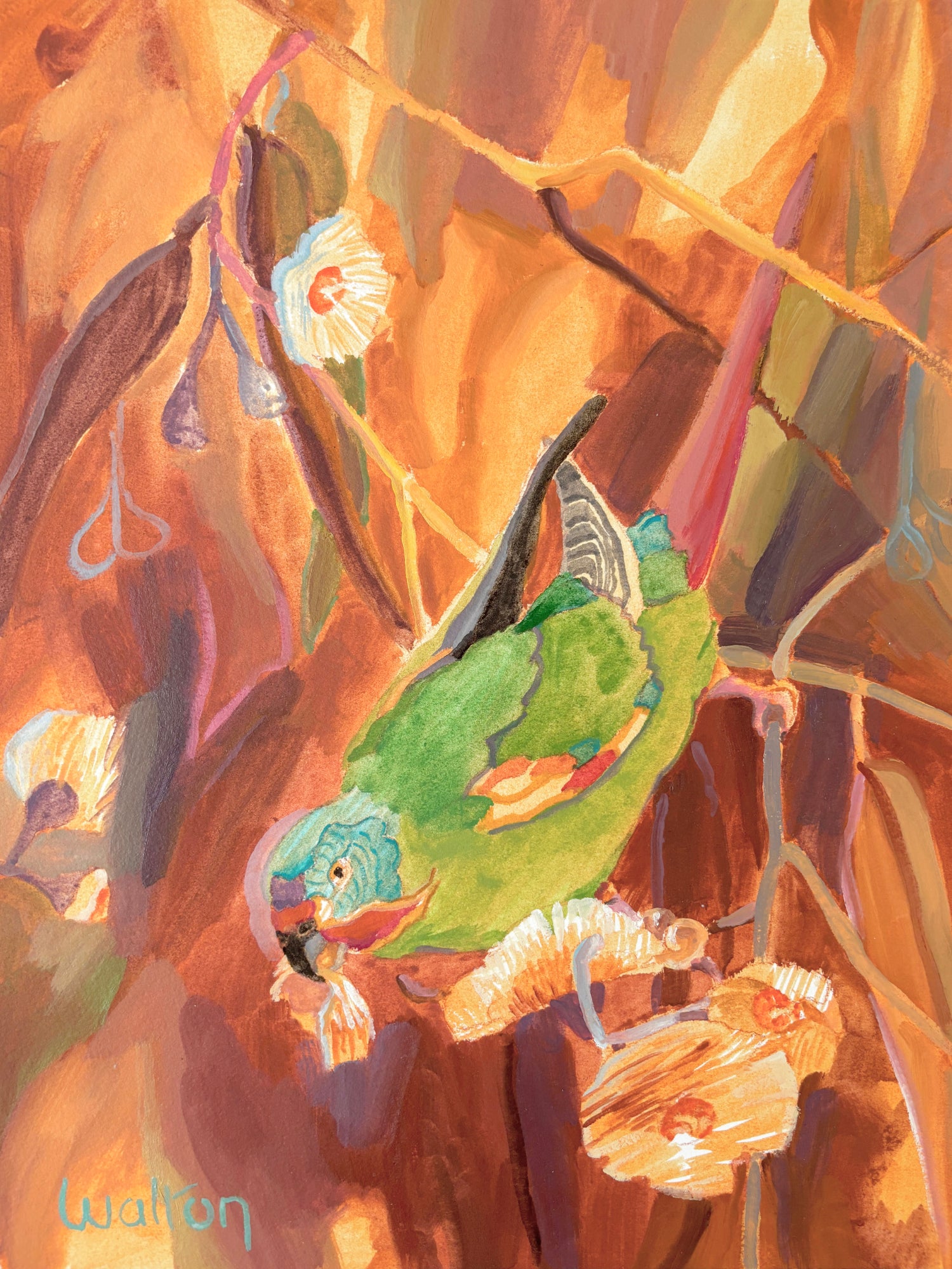 Swift Parrot - Painting