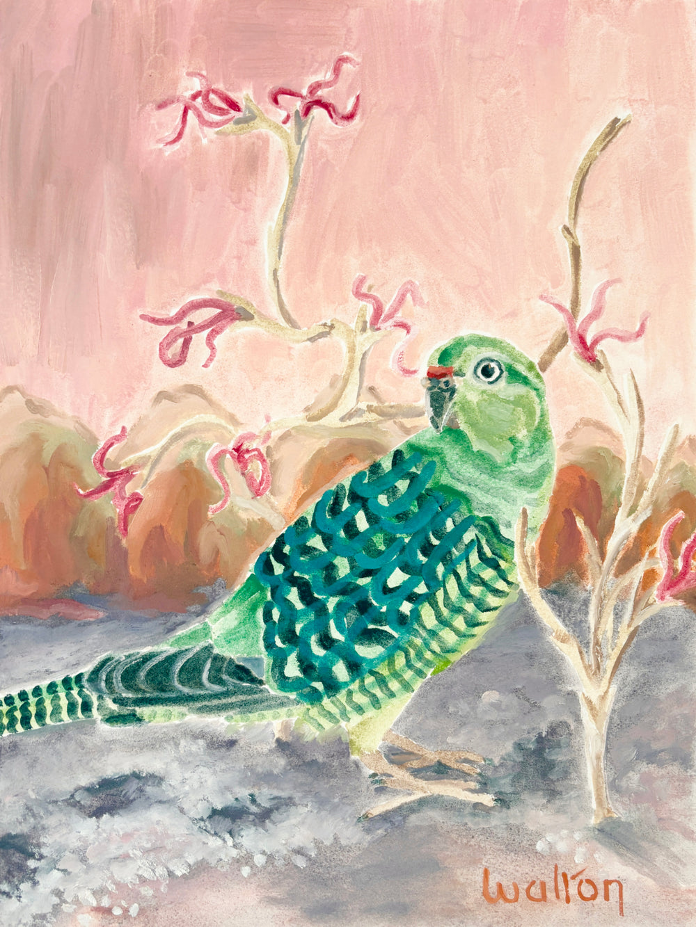 Western ground parrot - Painting