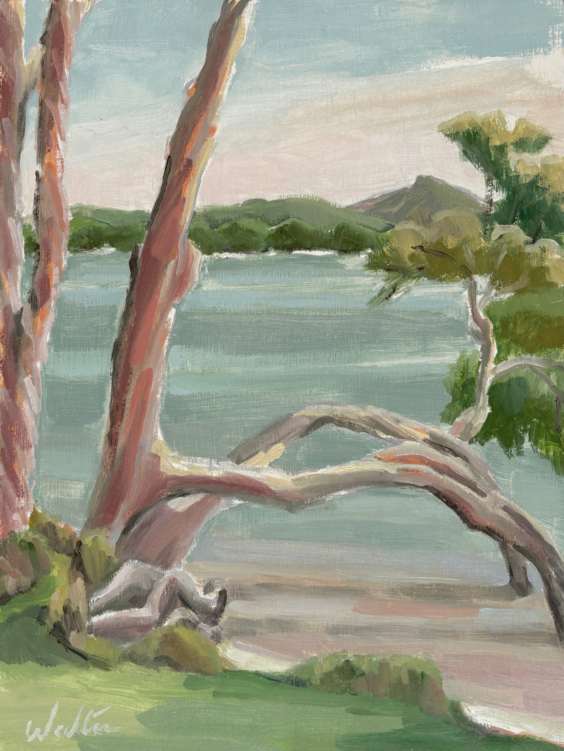 Oil painting on the banks of Lake Weyba, Sunshine Coast, painted by Australian artist, Leonie Walton