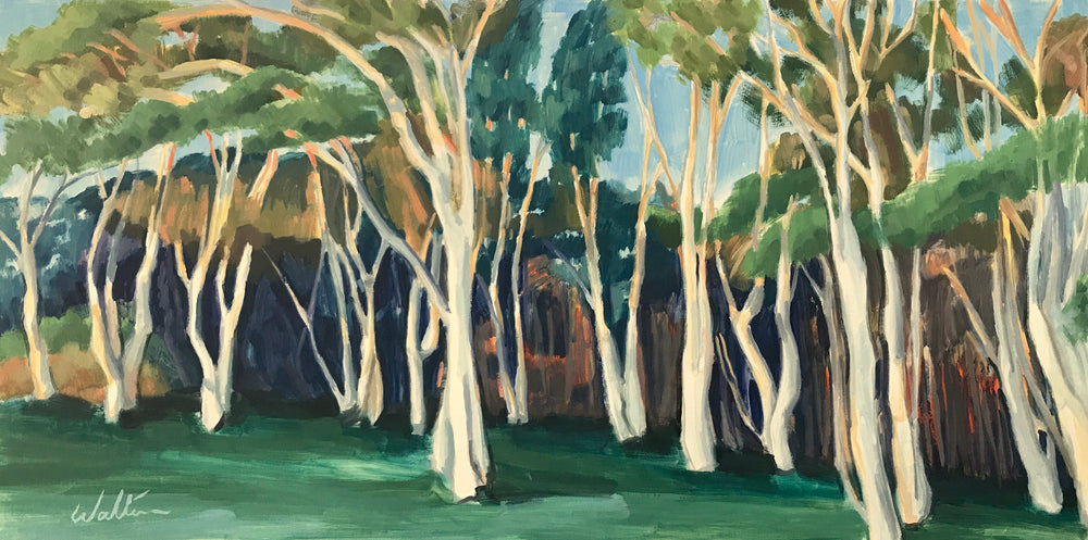 Oil painting of a fiery sunset on white gum trees, painted by Australian artist, Leonie Walton