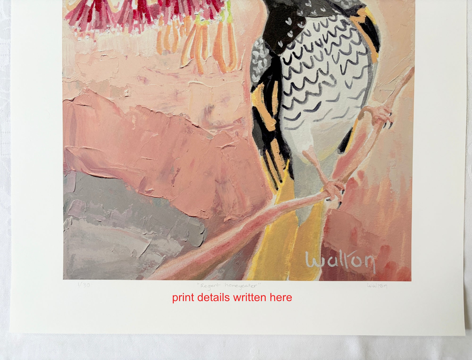 Regent Honeyeater - Limited Edition Print