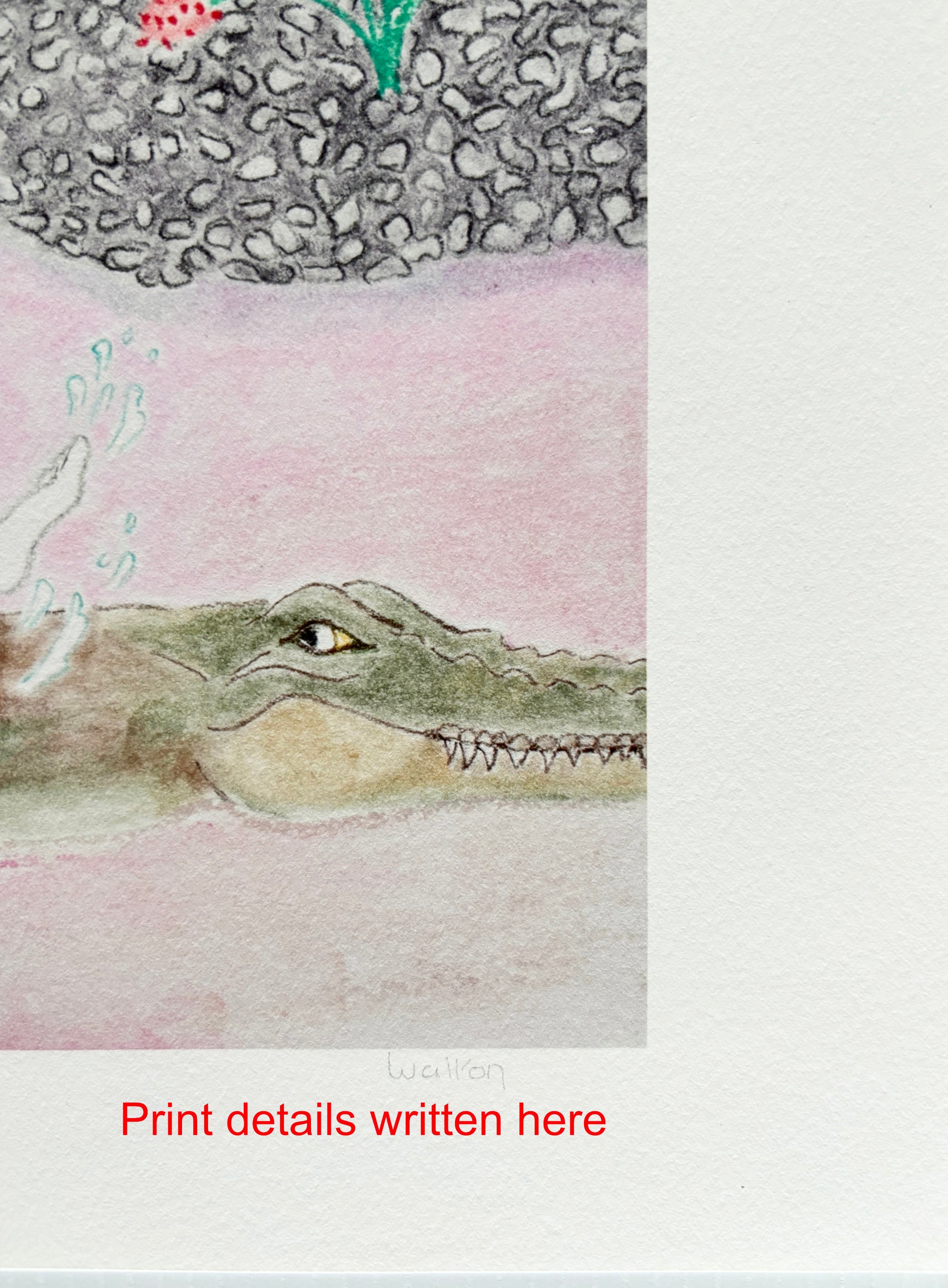 Croc Surprise - Limited Edition Print