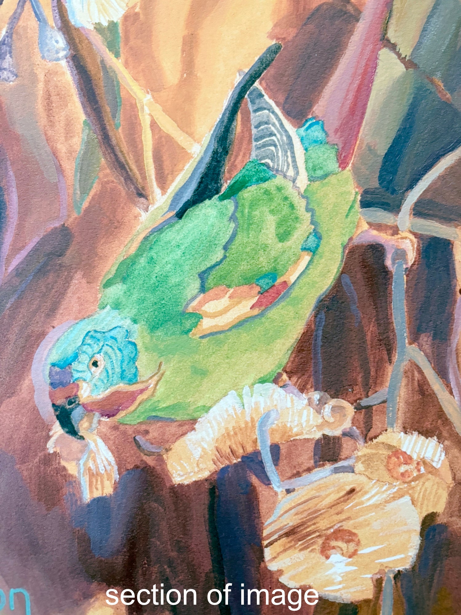 Swift Parrot - Limited Edition Print