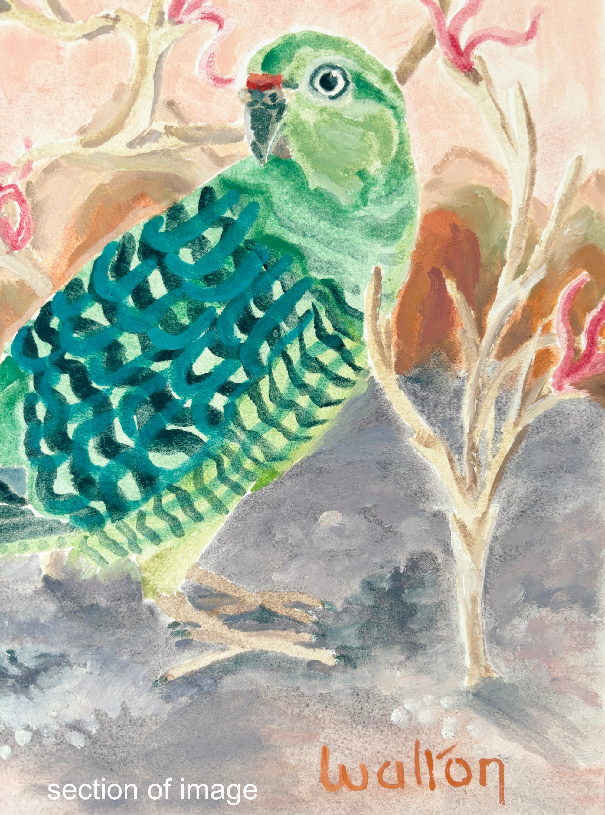 Western ground parrot - Painting