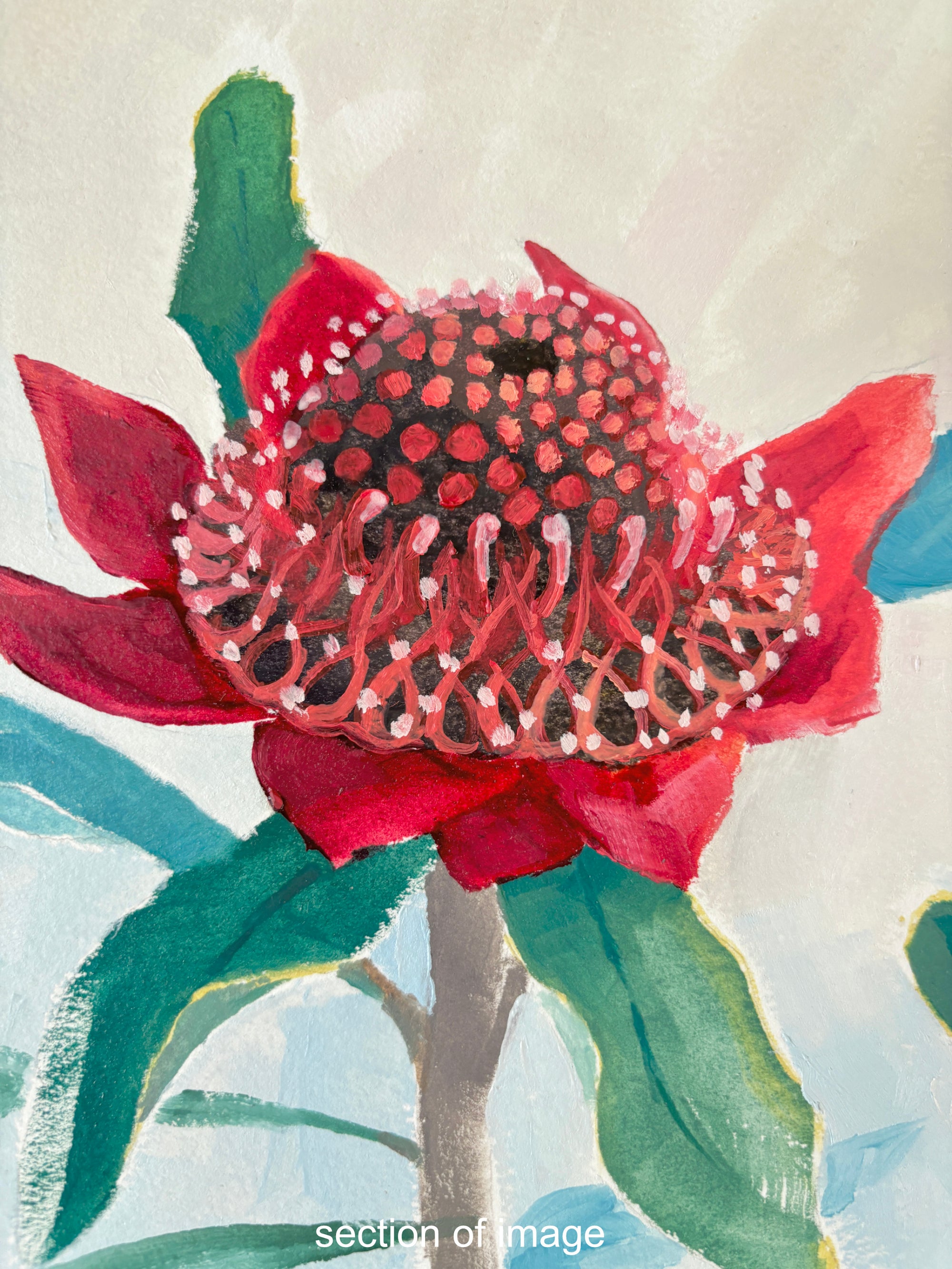 Red Waratah - Painting