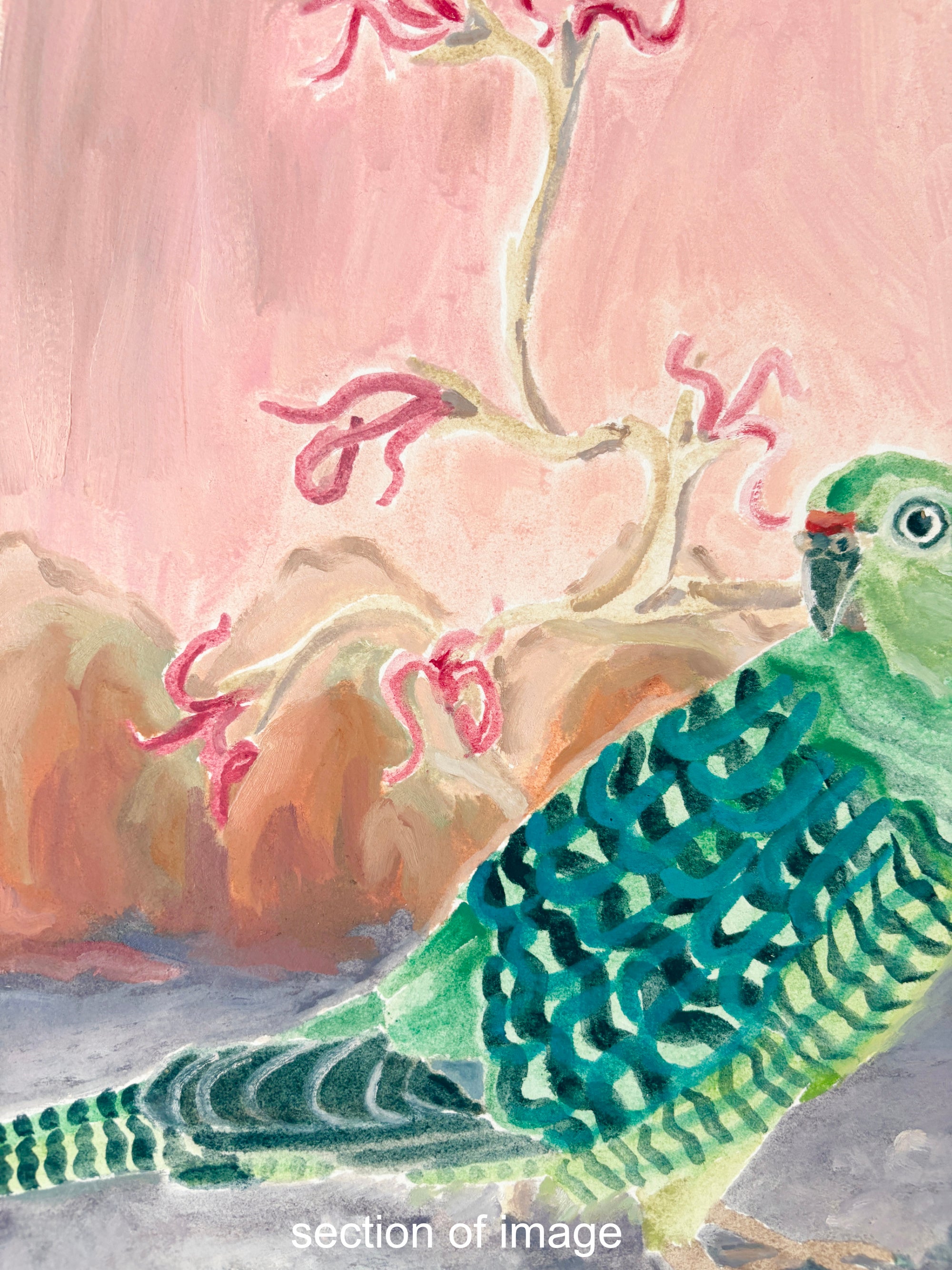 Western ground parrot - Painting